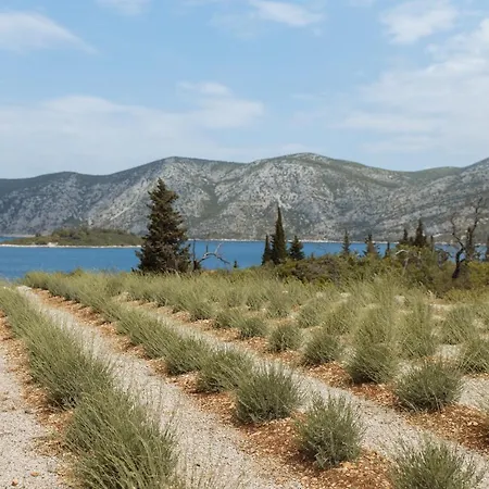 Kis Residence - Adults Only * Kneza