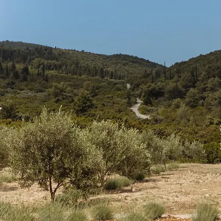 Apartman Kis Residence - Adults Only Kneza