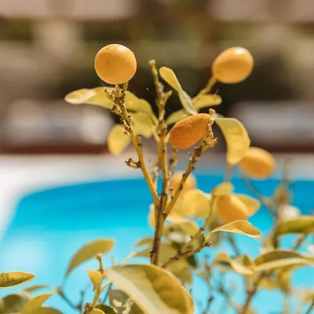 Apartman Kis Residence - Adults Only Kneza