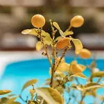 Apartamento Kis - Adults Only Kneza