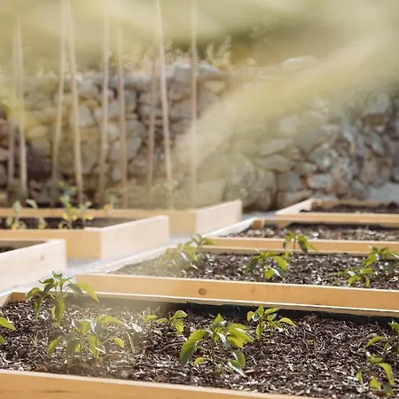 Kis - Adults Only * Kneza