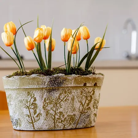 Kis - Adults Only Apartment