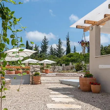 Kis - Adults Only * Kneza